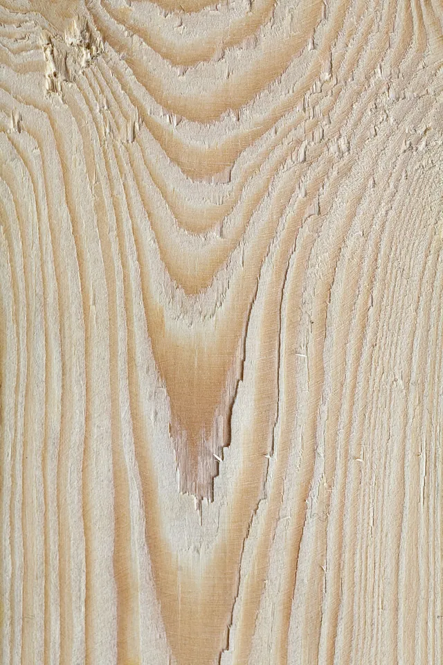 Muestra de madera